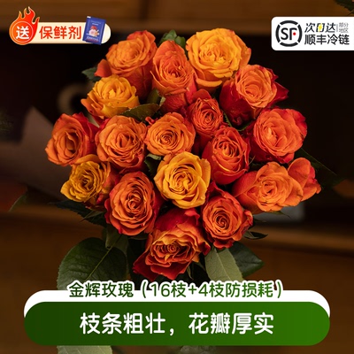 淘花郎鲜花橘色橙色玫瑰花特价