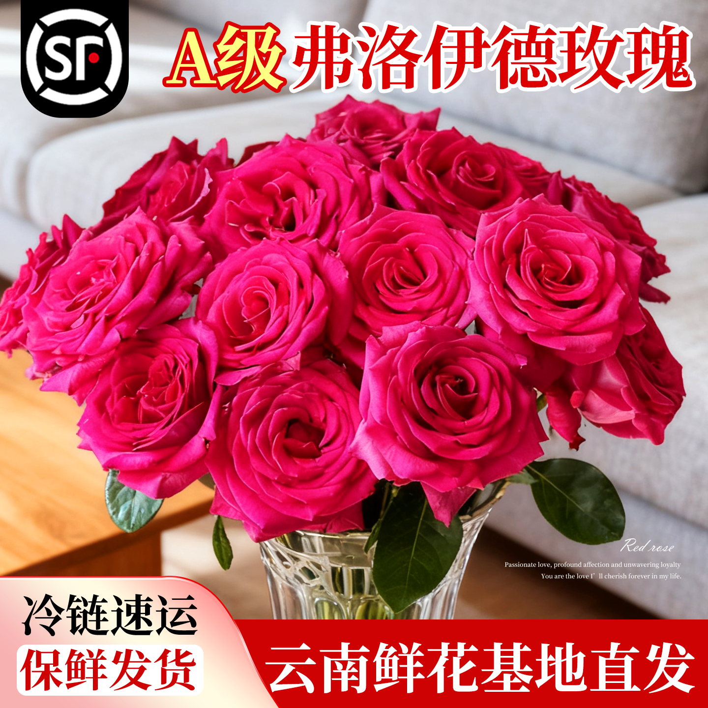 淘花郎鲜花红玫瑰云南直发特价