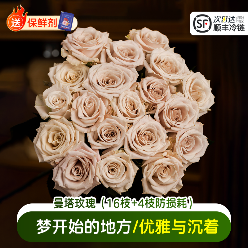 淘花郎紫色曼塔玫瑰花鲜花特价