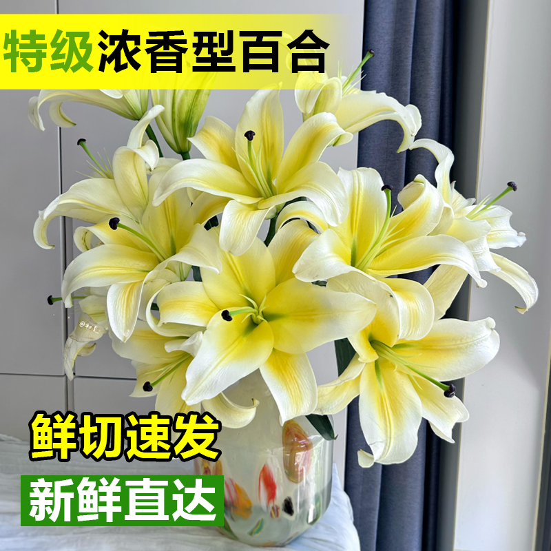 淘花郎精品百合云南基地直发特价