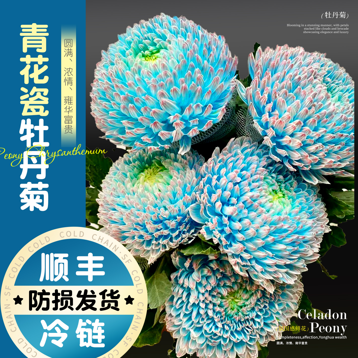 淘花郎鲜花青花瓷牡丹菊花束特价