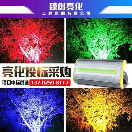 led七彩射灯户外投光灯防水射树灯园林绿化景观照树灯庭院草坪灯