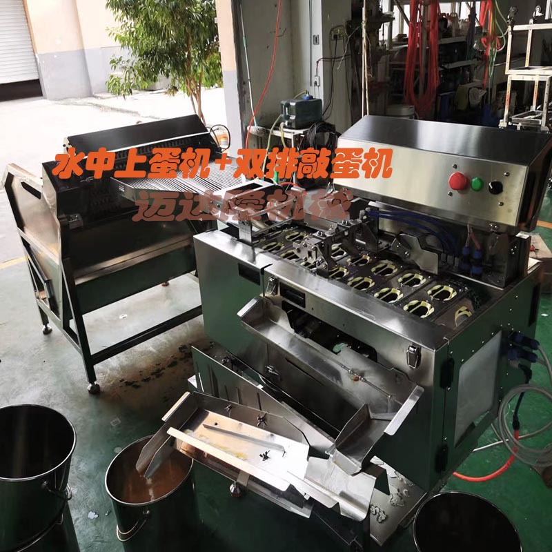 多功能自动磕蛋机打全蛋液鸡蛋鸭蛋清洗生产线全304不锈钢仿手工