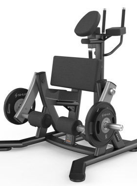 舒华SH-G6909 商用挂片系列站立式大腿屈伸后弯曲腿健身力量器材