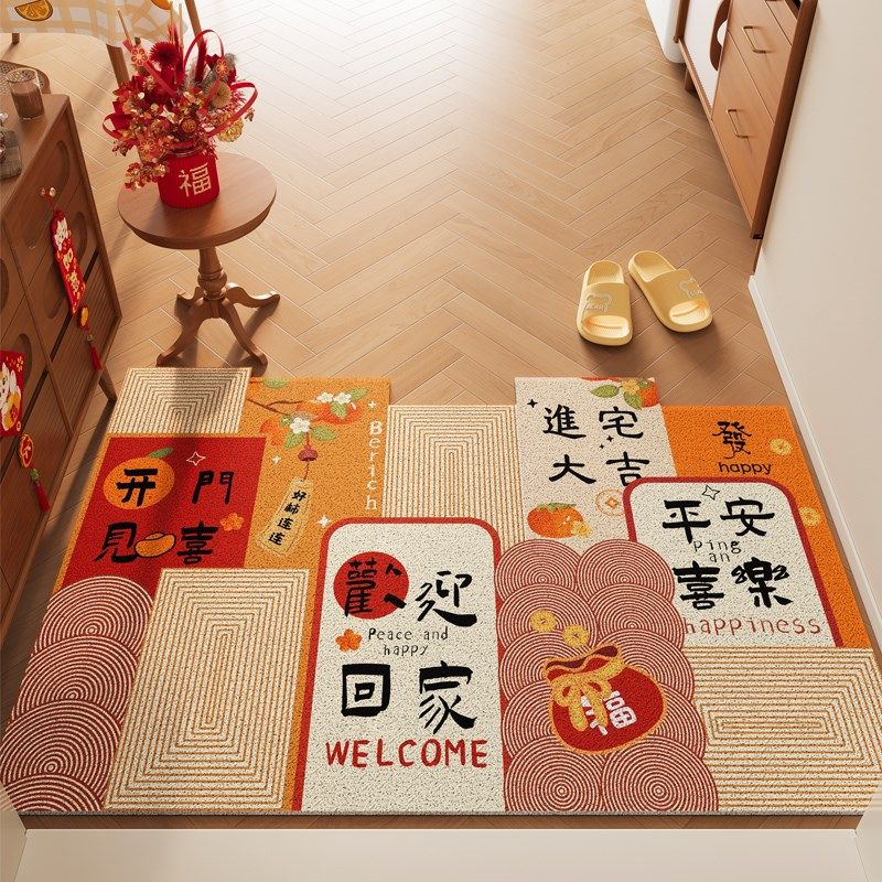 地垫2024新款高级感入门户地z垫丝圈防滑门口外面地垫入户蹭土门