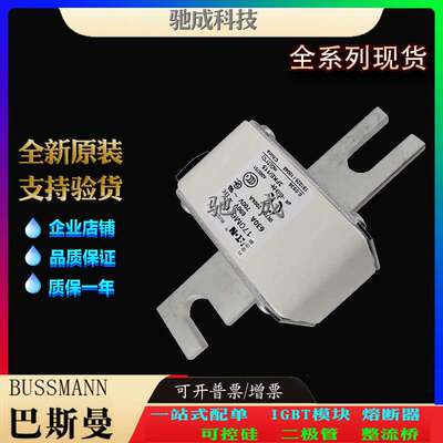 巴斯曼170M6760 170M6761 170M6762 厂家直供量大价优 方体熔断器