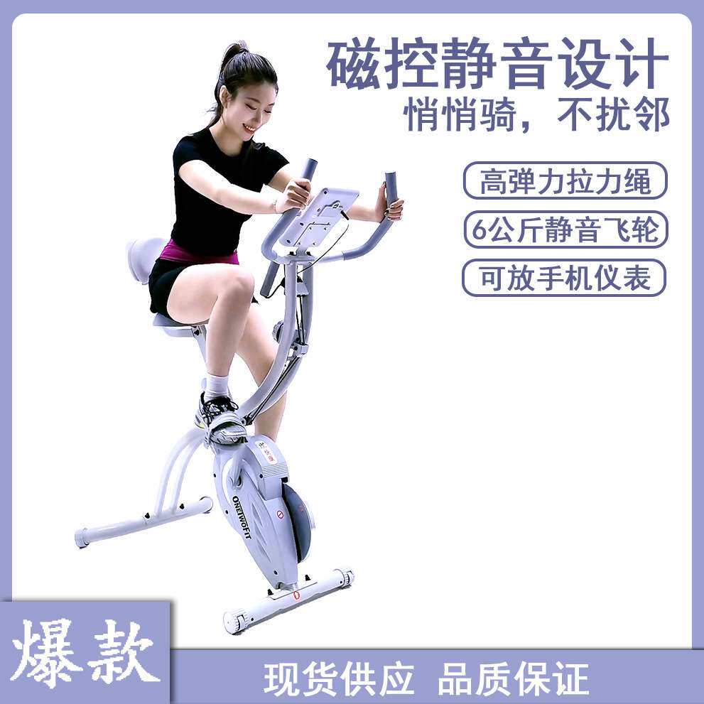 原厂一件代发折叠健身磁控健身车家用健身车折叠健身车Xbike