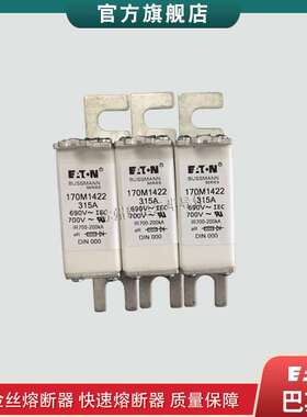 170M1387 1458 1459 1460 1461 1462 1463 1464 巴斯曼快速熔断器