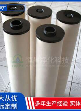 1202846聚结滤芯聚结滤芯玻璃纤维滤油机滤芯1202846