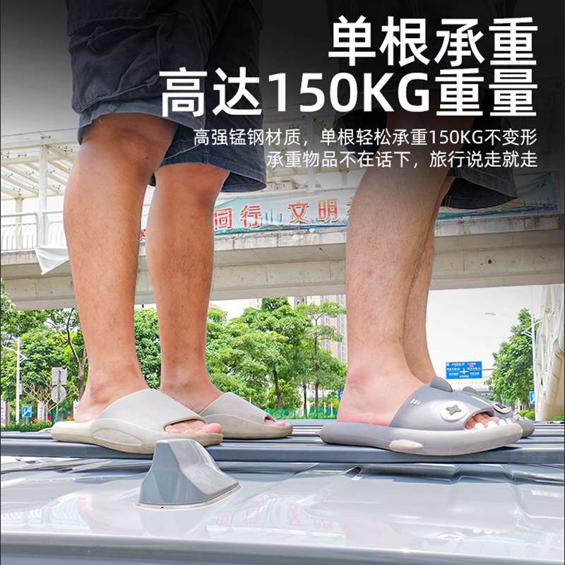 坦克300改装内嵌行李零升高车顶平台爬梯配件沉式行李框用行李架图片