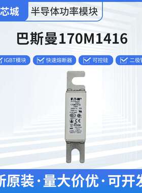 巴斯曼170M1416限流式人防熔断器