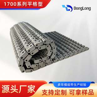 厂家1700平格塑料网带轮胎输送行业专业传送带耐温输送带跨境