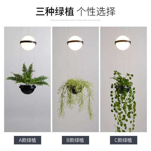 植物吊灯卧室床头花草吧台酒吧创意个性北欧现代音乐餐厅橱窗吊灯
