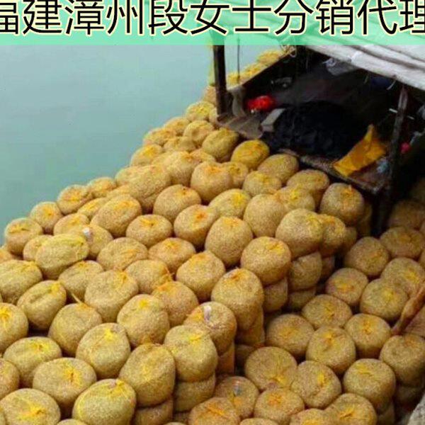 京凯装螃蟹花蛤网袋大闸蟹网兜1315斤水产鱼龙虾甲鱼贝类三角袋子