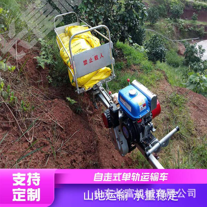 单轨运输车山地丘陵搬运轨道运输车大棚果园自走式汽油轨道小火车