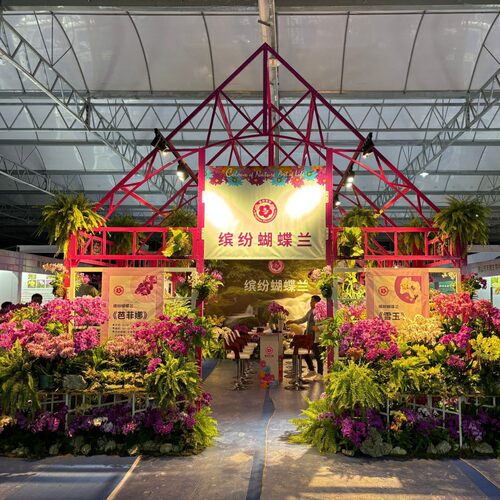 虹屋展会展览展示展架展台