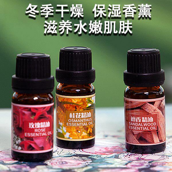 茉莉青竹海洋香薰精油加湿器水溶性舒缓清新办公室卧室香净化空气