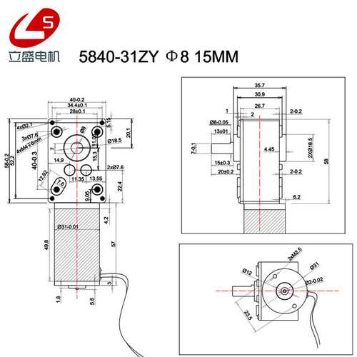 立盛5840-31ZY微型直流减速电机钢齿轮 蜗杆调速慢速马达12V24V
