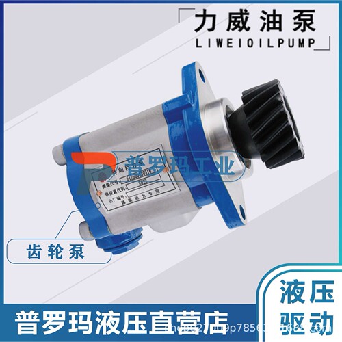 QC25/19-WD12-WL合肥力威齿轮油泵3500-3410002A叉车转向泵潍柴
