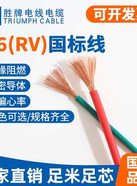 胜牌厂家现货单芯多股电子线 国标RV1.0平方铜芯软电线 绝缘导线