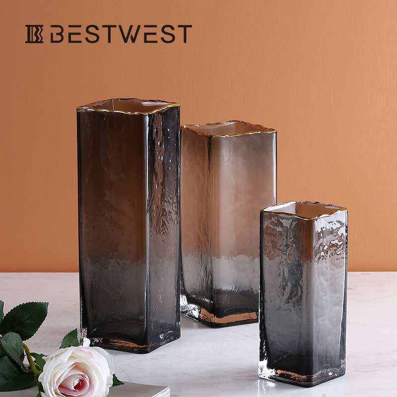 Best west 北欧直筒方口轻奢水培透明玻璃花瓶 家居高档软装饰品