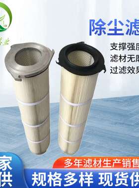 P150464除尘滤筒铸造抛丸机除尘滤芯吸尘机除尘滤筒厂家供应