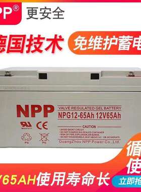 耐普12V65AH免维护蓄电池ups铅酸电池NPG12100AH太阳能通信电瓶