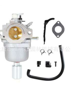 795366化油器套餐594593  287707