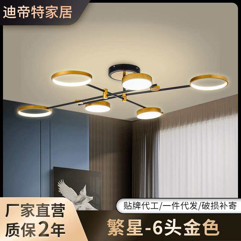 现代简约铁艺吊灯轻奢创意个性灯卧室客厅餐厅时尚艺术led吸顶灯