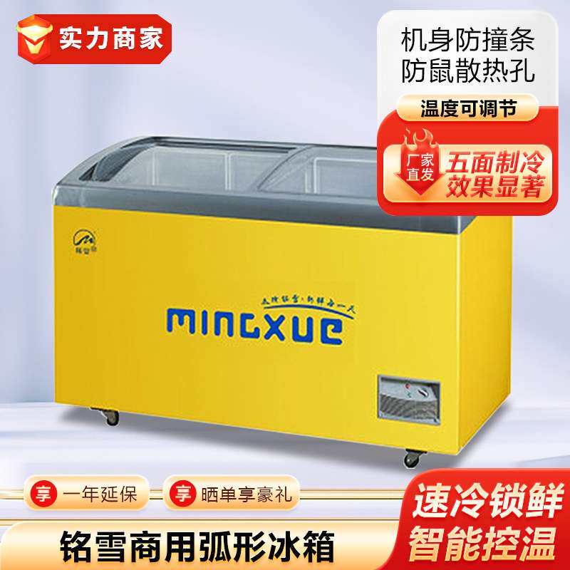 铭雪商用冰箱弧形玻璃移门冰柜雪糕冰激淋柜海鲜展示柜超市冷柜