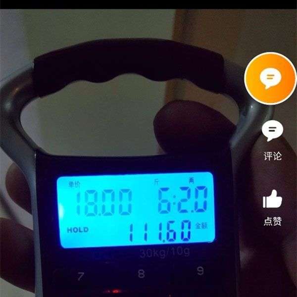手提秤便携式高精度手提电子称弹簧秤计价手提称重充电迷你快递称