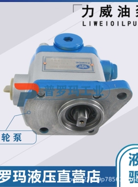 合肥力威3505010-101-JH50液压 动力泵转向泵 QC12/8-WX