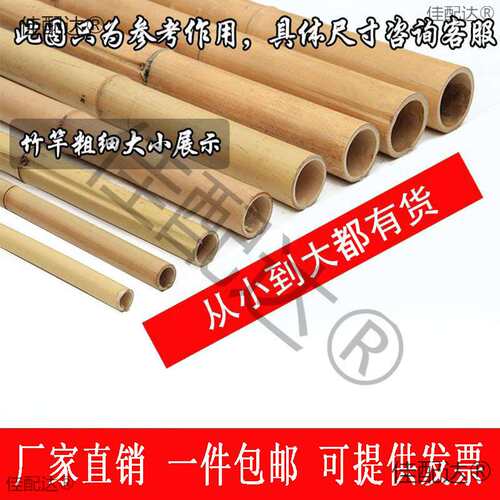 竹竿装饰竹竿楠竹竹杆吊顶隔断防腐竹竿室内粗细竹子民宿装修毛竹
