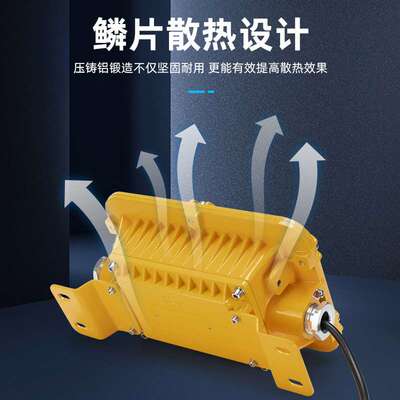 BAD 20W30W40W50W工厂防爆LED泛光灯 加油站投光灯 LED防爆吸顶灯