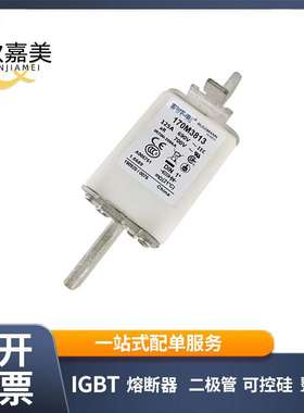 170M3813 170M3813D 快速熔断器  电子元器件 型号齐全 量大价优