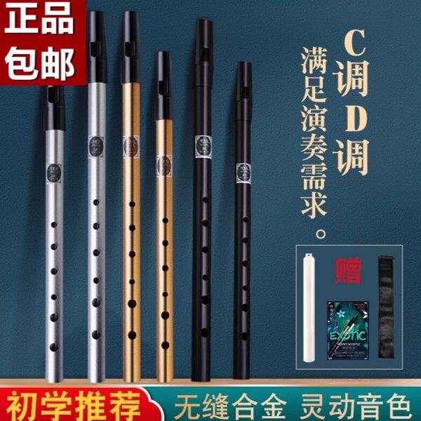 爱尔兰哨笛初学者入门金属哨笛6孔C/D调高音金属专业直竖笛子乐器