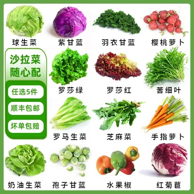 沙拉蔬菜可自选轻食材新鲜混合生菜生吃凉拌轻食西餐专用沙拉套餐