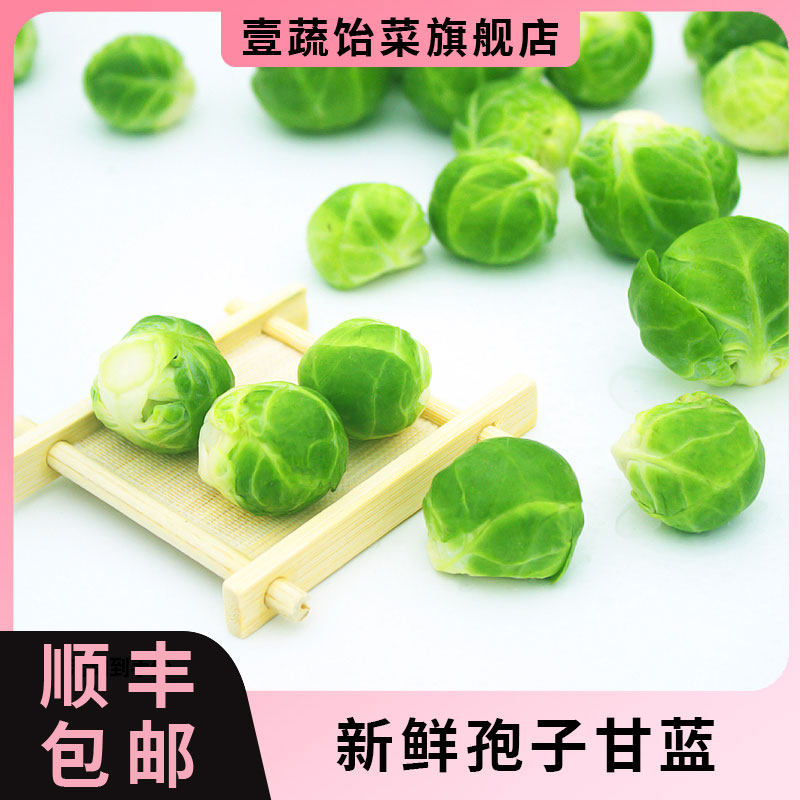 孢子甘蓝500g 新鲜沙拉食材其它