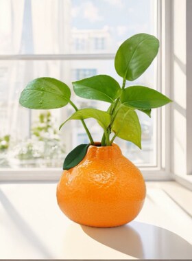 橘子陶瓷小花瓶摆件客厅插花水培植物鲜花绿萝情绪稳定桌面装饰品
