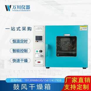 鼓风干燥箱与真空厂家直销DHG-9030A实验室小型工业烘箱