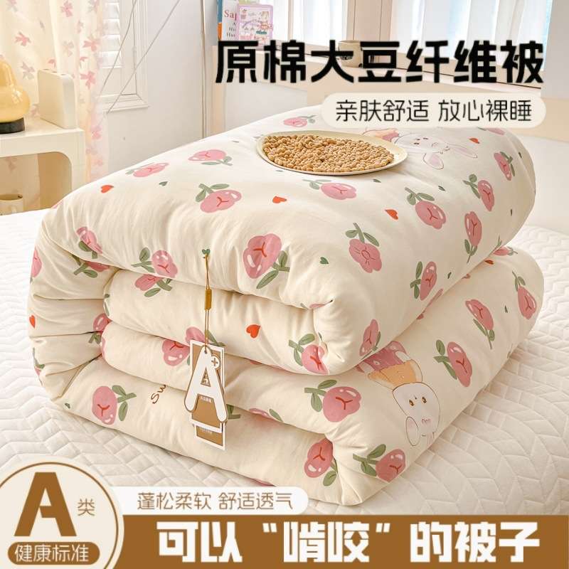 A类母婴级加厚保暖冬被双人被子大豆纤维春秋被可水洗被芯棉被宿