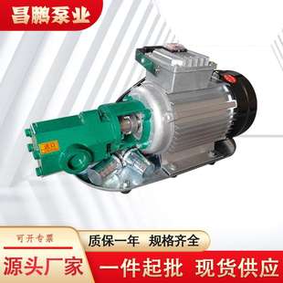 WCB便携式手提泵防爆齿轮油泵汽柴油卸车泵机油循环供油泵微型泵