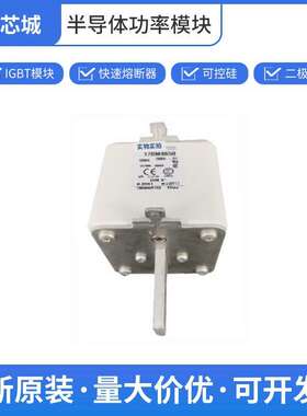 170M8650 限流式熔断器  保险丝 巴斯曼批次22+