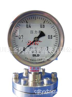 北京布莱迪全不锈钢耐震压力表隔膜压力表YTHN-100MFB法兰式60MPA
