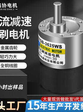 37GB3525WS直流减速电机12V微型电动机24V伏小型永磁无刷电机马达