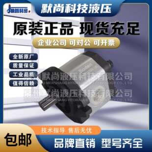 油泵登胜JANUS齿轮泵BKP1Q0-D-0.8/1.1/1.3/1.6/1.8/2.1液压泵