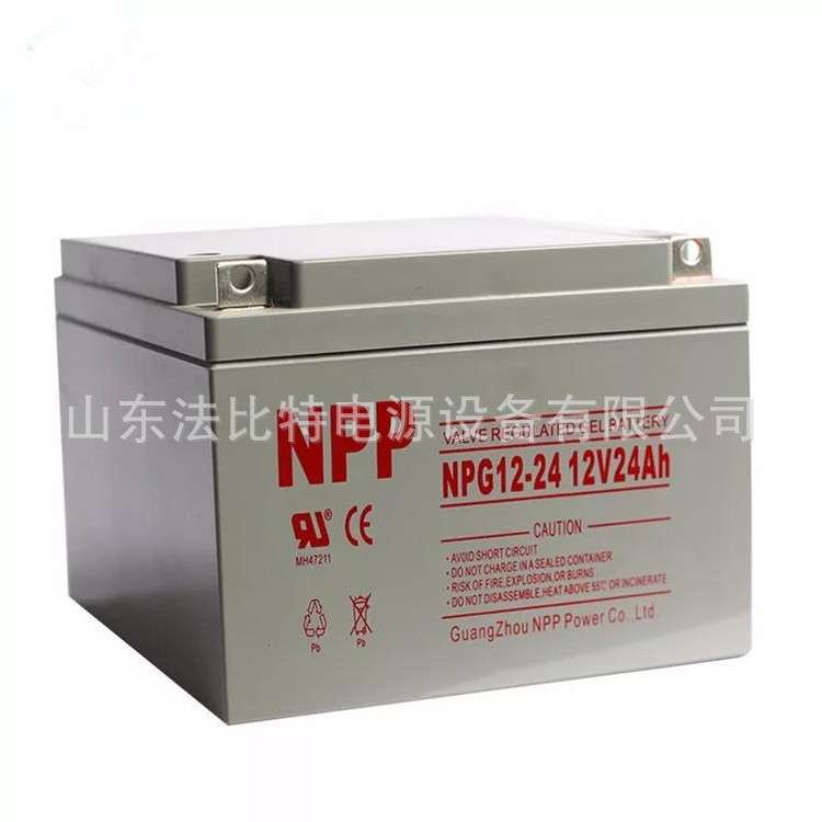 耐普铅酸蓄电池NP2-100免维护2V100Ah质保3年NPP蓄电池