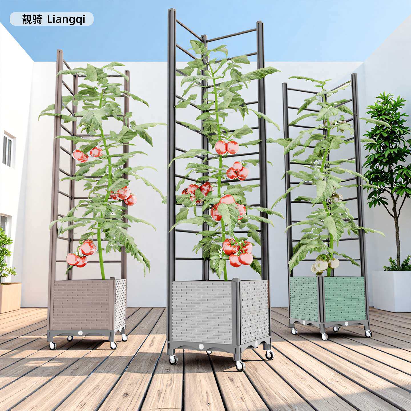 可移动阳台花架落地式室内种植架户外庭院葡萄爬藤架黄瓜月季架杆