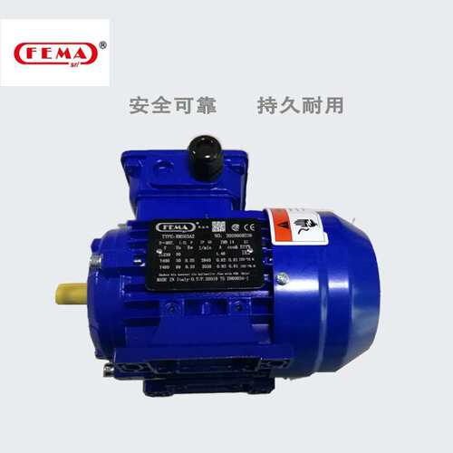 FEMA三相电机RMS7134IP55F级绝缘B级温升S1工作制1E1标准耐用