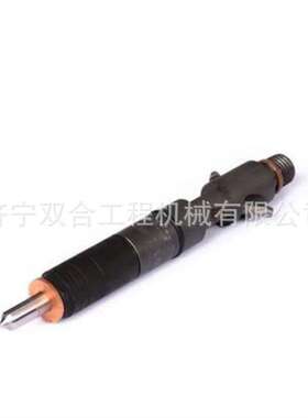 喷油嘴 喷油器10000-02456 10000-00270 1000002456 1000000270